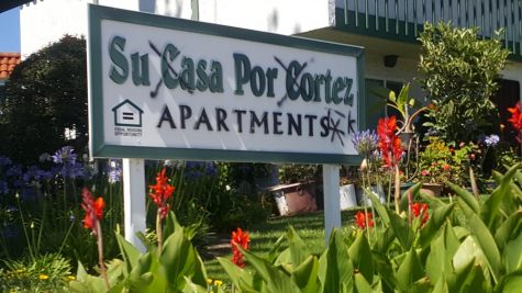 Vandals strike at (and near) SDA
