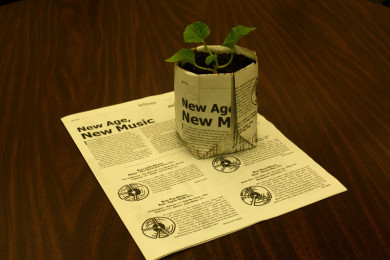 How to: Newspaper Pots