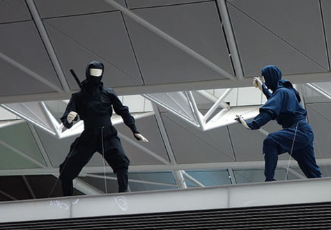 Ninjas are Better than Pirates.