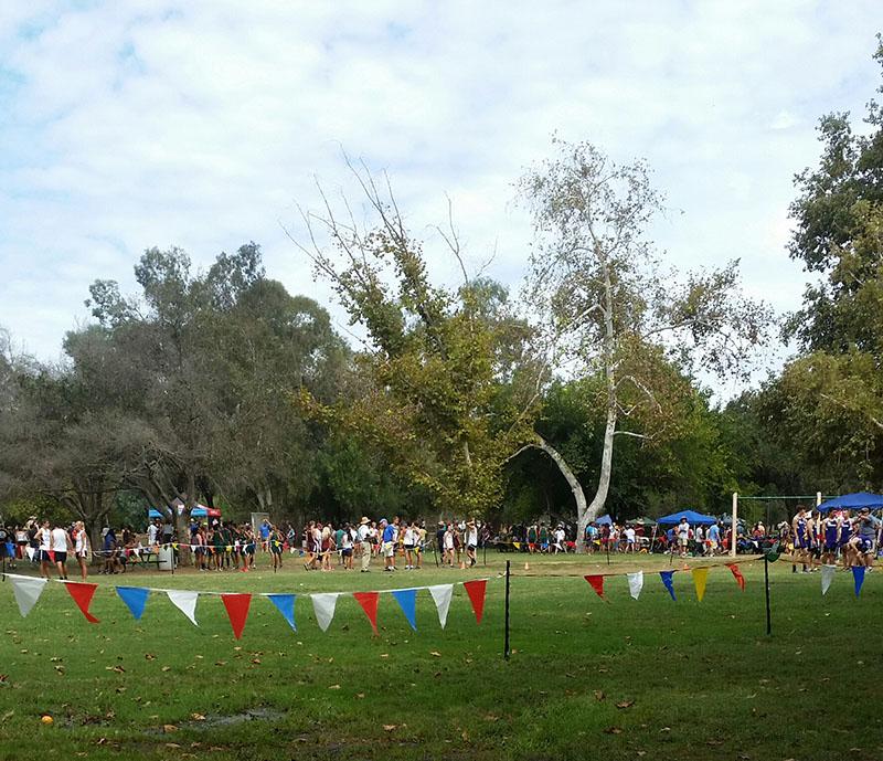 Cross Country Bronco Round-Up