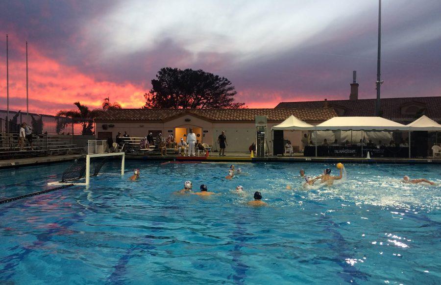 Boys Water Polo Wins CIF Quarter Finals for First Time
