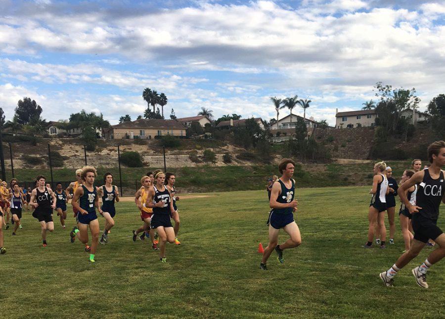Hay Bales? Cross Country Takes on Final League Meet