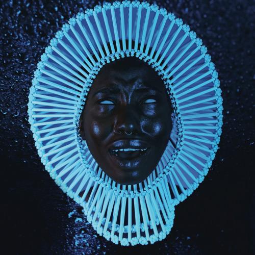 Awaken, My Love! Review