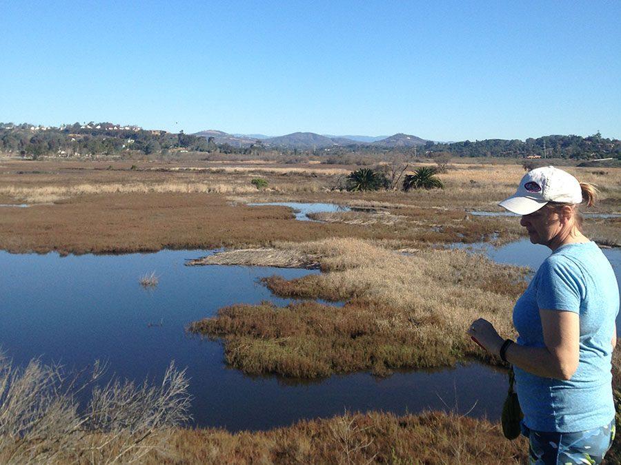 Lily Callender, San Elijo Lagoon