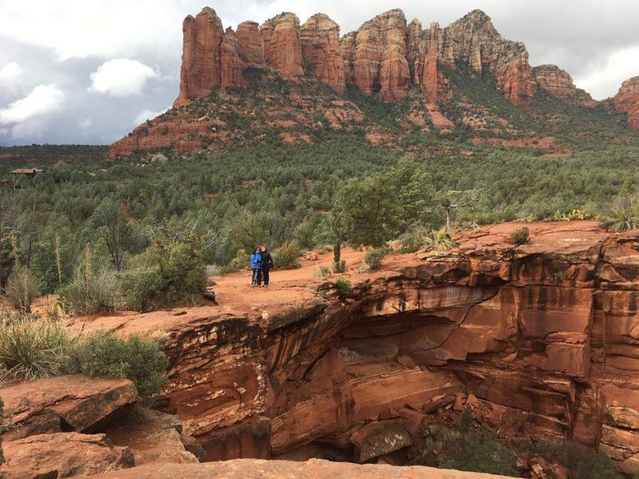 Chaitanya Herbert, Arizona