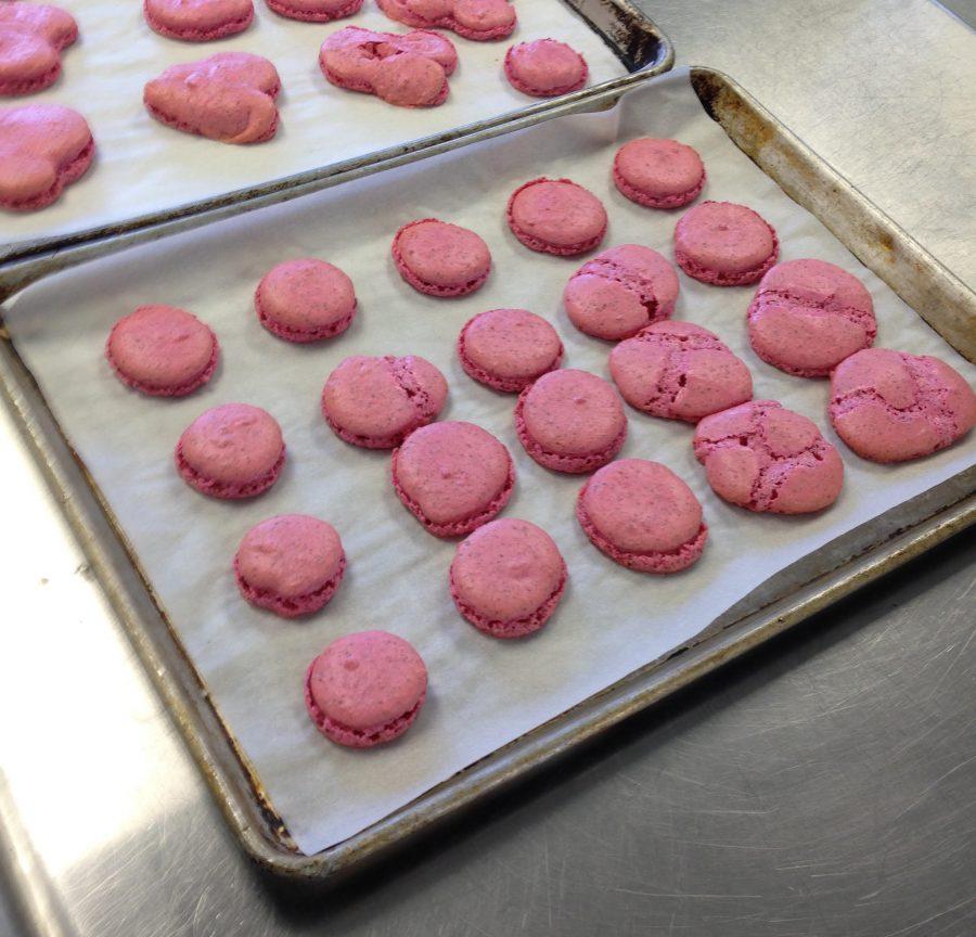 Today at SDA: Macaroons in Culinary Art