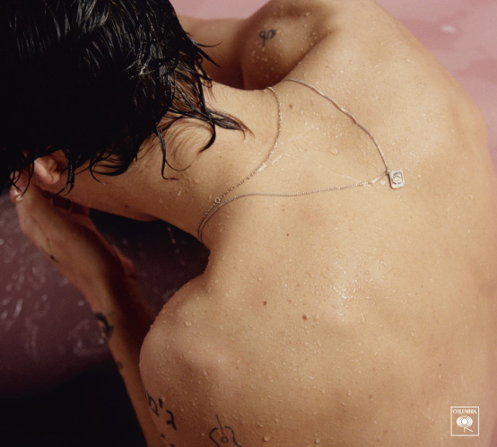 Harry Styles Shines in First Solo Album