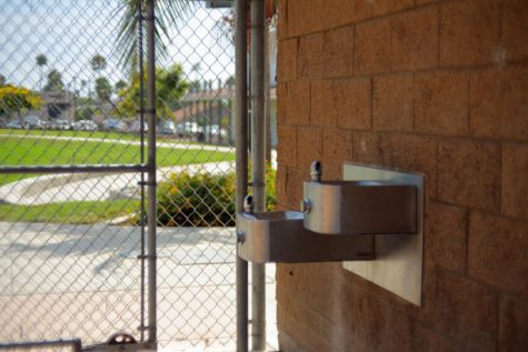Where’s the Best Water?