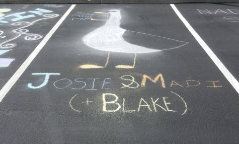 Josie Lieber's chalked spot featuring a seagull from