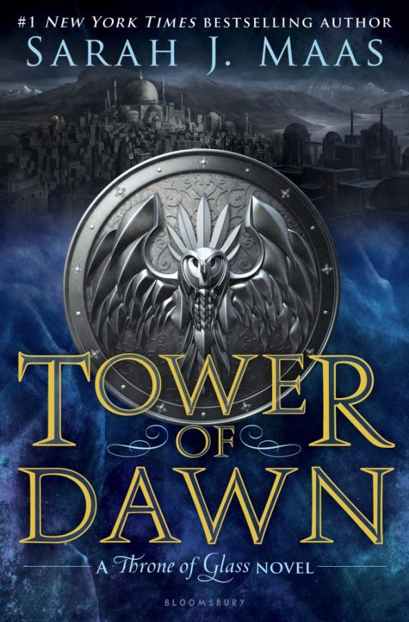 Tower of Darkness a Stellar Continuation of Throne of Glass Series