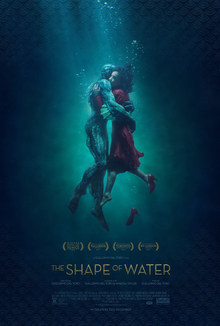 The True Shape of Water