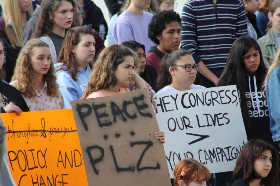 Senior Rachel Kaplan and many other students held signs, some focused on peace, and others with political messages.