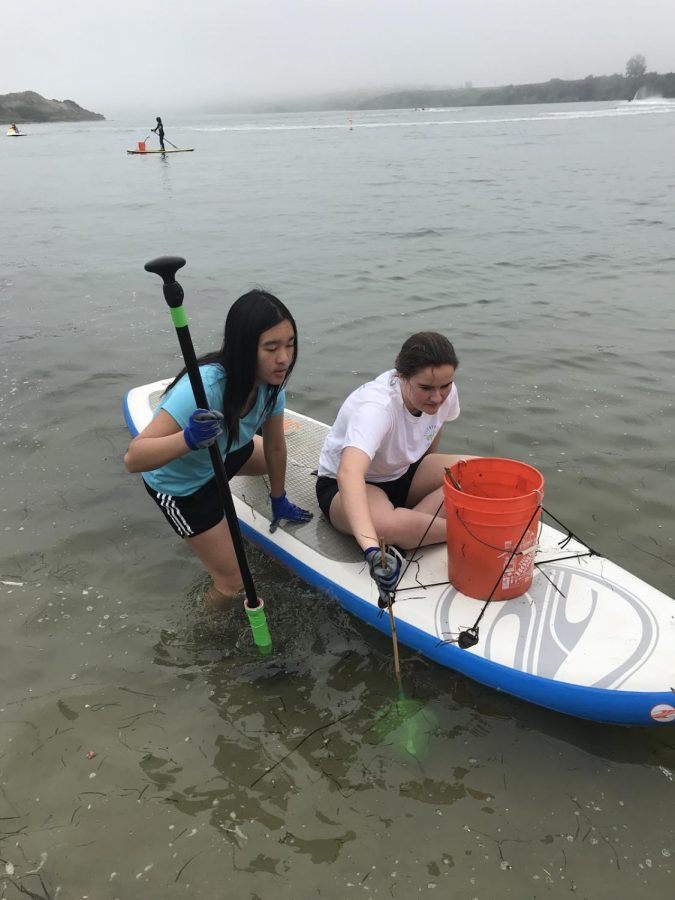 Juniors Amber Tse and Jenna Weinhofer work to clean out the Carlsbad Lagoon.