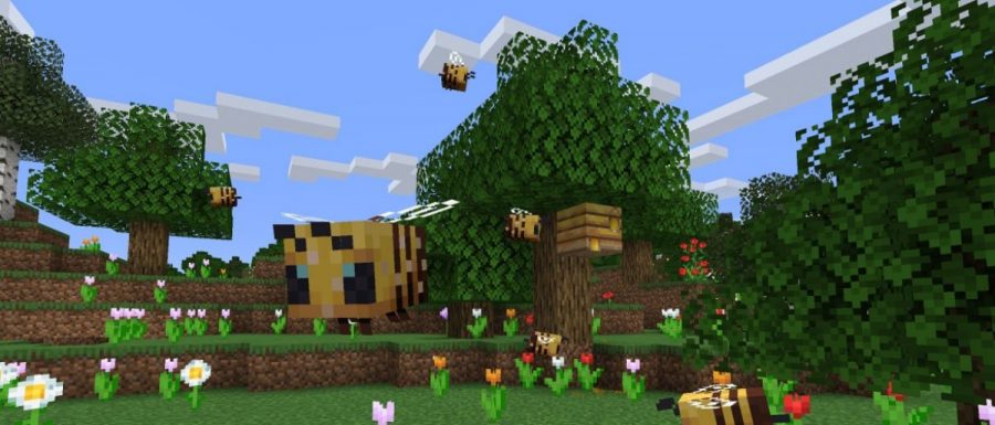 Beegone Minecraft Bees: The new edition of Minecraft has brought some very large bees.