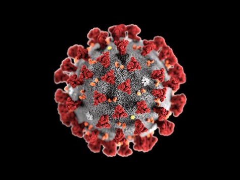 What to do and what NOT to do over quarantine break