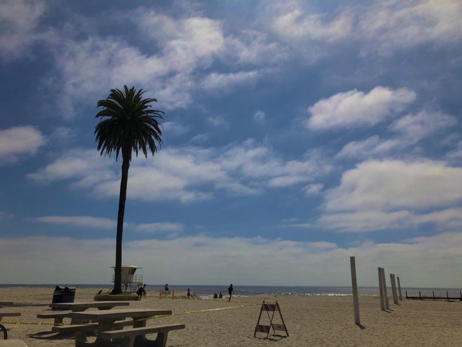 Moonlight Beach on Monday April 27th.