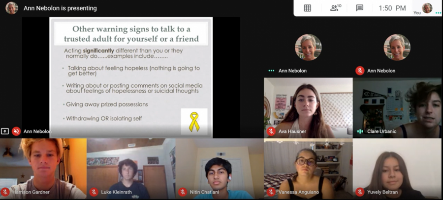 PALs+present+their+slides+on+Suicide+Prevention+over+on+Google+Meets+