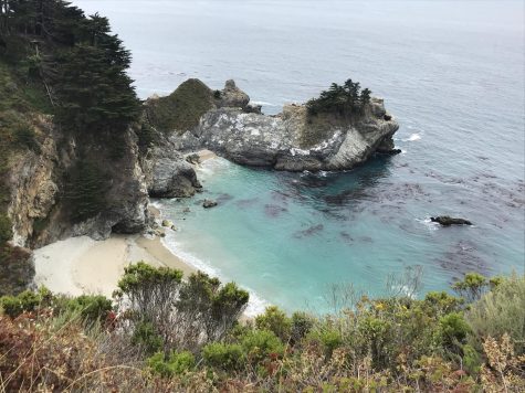 Julia Pfeiffer Burns State Park in Big Sur, CA