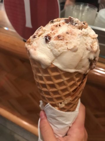 Salted, Malted, Chocolate Chip Cookie Dough from Salt & Straw