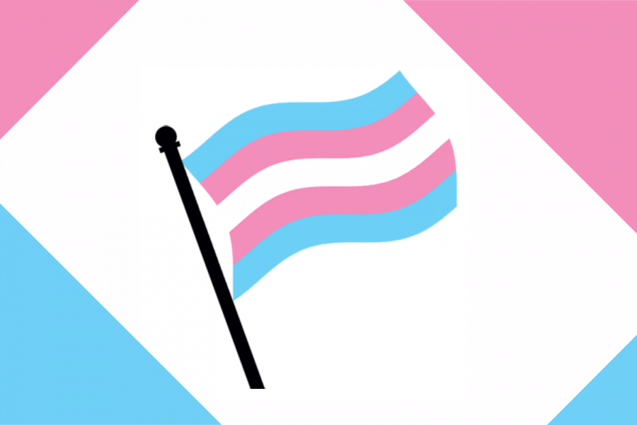 Transgender flag