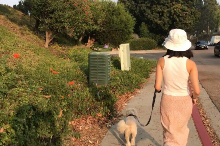 Senior Taylor Lee goes outside to take her friends dog on walks as a way to destress