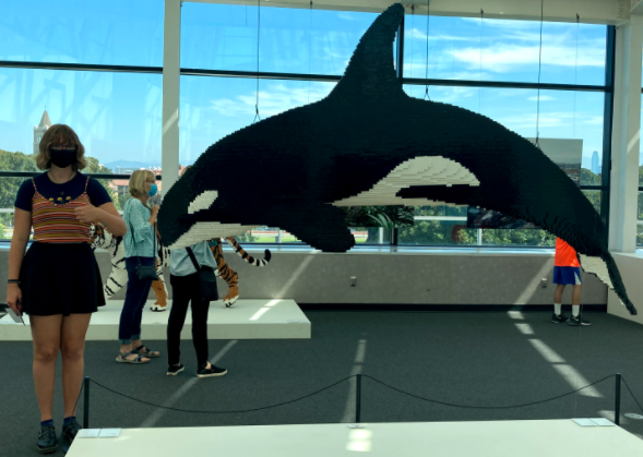 One of Nathan Sawaya's pieces from the exhibit: an orca made entirely out of Legos.