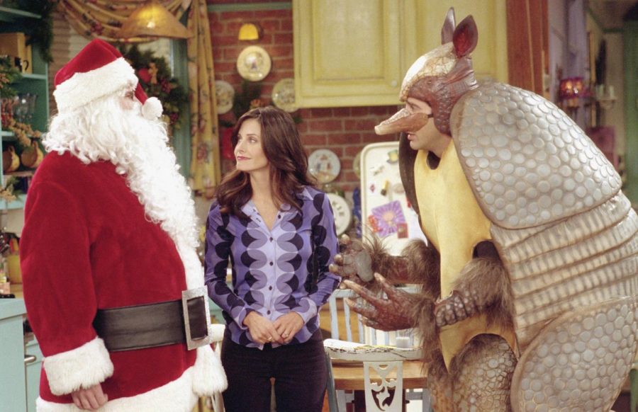 Friends, The Holiday Armadillo